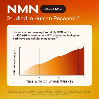 Feel Decades Younger From the Inside Out with NMN